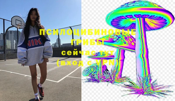 бошки Аркадак