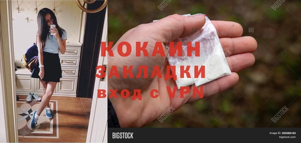 спайс Арсеньев