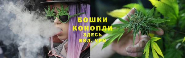 спайс Арсеньев
