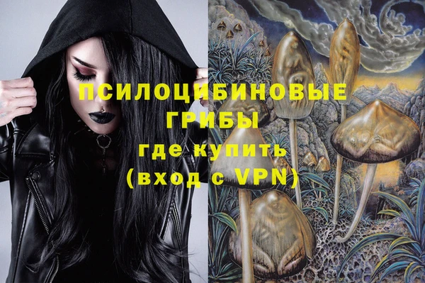 спайс Арсеньев