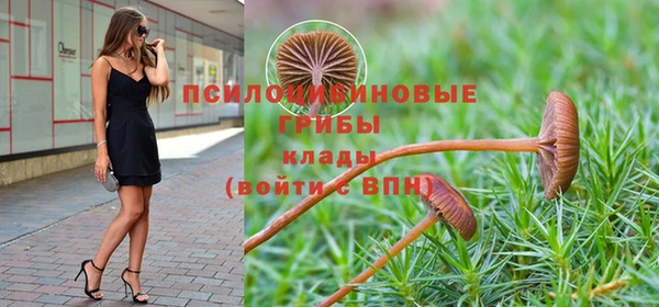 спайс Арсеньев