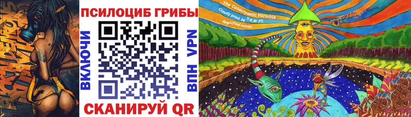 где купить наркоту  Судогда  Галлюциногенные грибы прущие грибы 